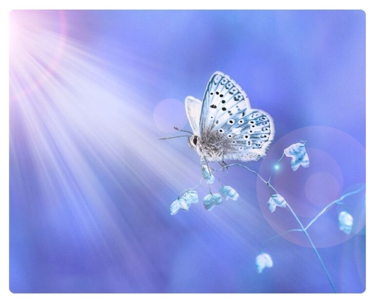 Mindfulness para sanar